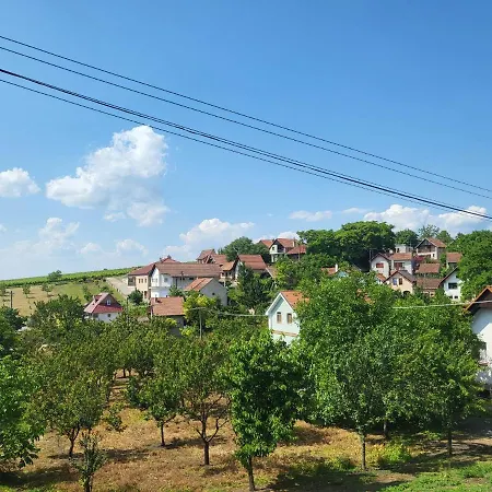 Apartman Pure Harmony Velke Bilovice Exterior photo
